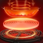 commercial induction range